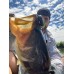 Lunker City Karate Craw